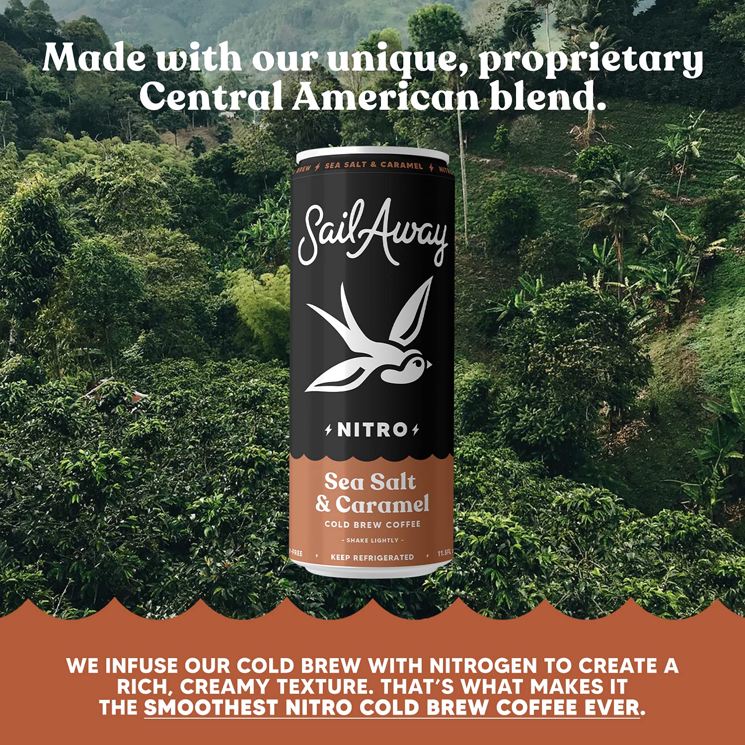 Nitro Cold Brew Coffee Cans - Low Acid Coffee Beverage with Nitrogen Infusion | 220mg Caffeine, Gluten Free, Organic, Keto Friendly, Sea Salt & Caramel Flavored (24 Pack) - Perfect for Office, Gym & Outdoor Adventures