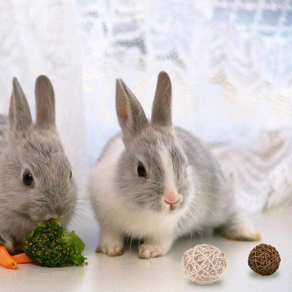 Natural Apple Wood Rabbit Chew Toys for Teeth Care - Safe Bunny Chinchilla Hamster Chewing Supplies Set for Small Pets | Perfect for Cage Enrichment, Dental Health & Playtime Exercise