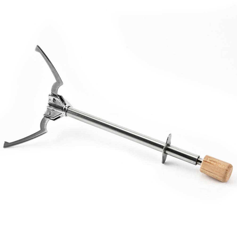 Stainless Steel Food Clip Serving Tongs - Multipurpose Kitchen Utensil for Coffee, Toast, Sugar Cubes, Fruit, Pasta & BBQ | Ideal for Cooking, Buffet Serving & Kids Meals | Durable & Safe for Daily Kitchen Use