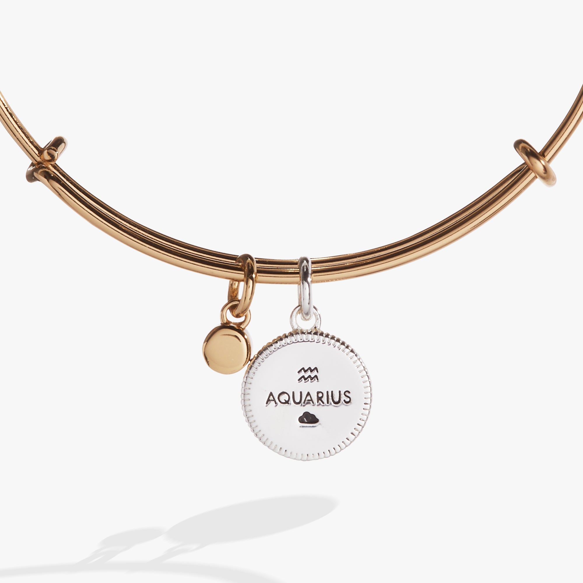 Aquarius Zodiac Charm Bangle - Sterling Silver Adjustable Bracelet for Women - Perfect for Birthdays, Gifts & Everyday Wear