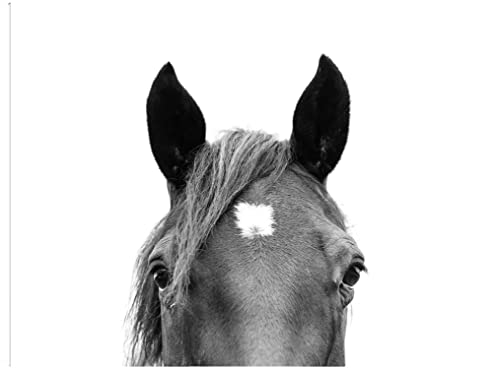 Peeking Horse