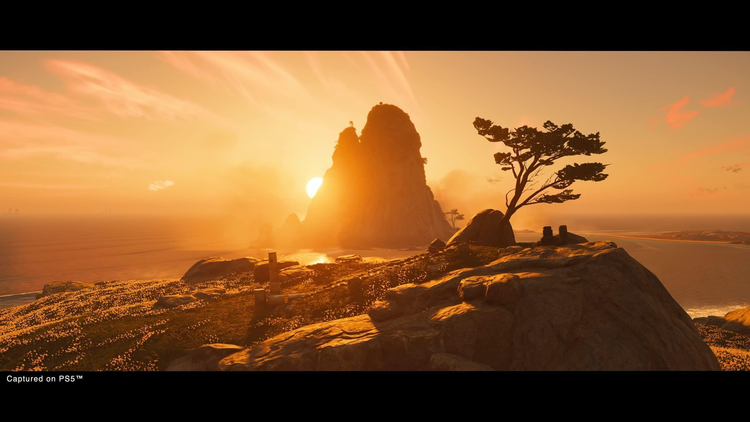 Ghost of Tsushima Director's Cut - PlayStation 5 Game | Action-Adventure Samurai Game | Perfect for PS5 Gamers & Japanese Culture Enthusiasts | Immersive Open-World Experience for Solo Players