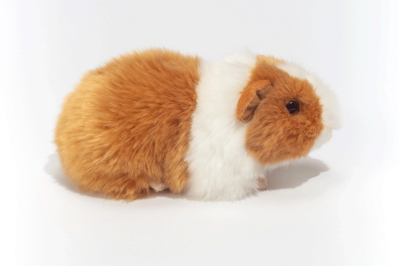 Premium Plush Gold & White Guinea Pig Stuffed Animal - Soft & Cuddly Teddy Hermann Collectible Toy for Kids & Adults | Perfect Gift for Pet Lovers, Birthday & Home Decor