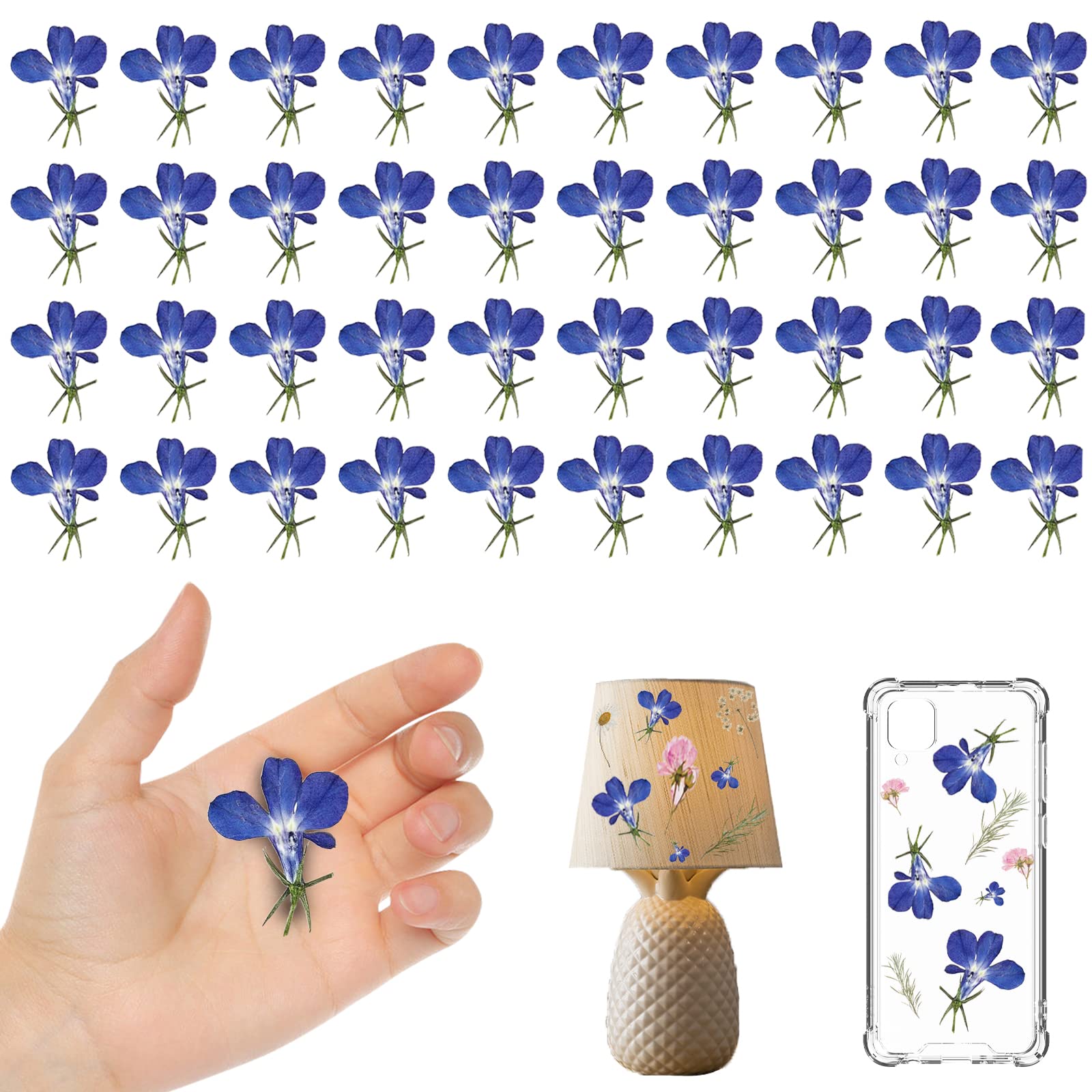 60PCS Natural Blue Pressed Dried Flowers for Resin Crafts, Jewelry Making, DIY Phone Case & Candle Decor - Perfect for Wedding Invitations, Scrapbooking & Home Decoration