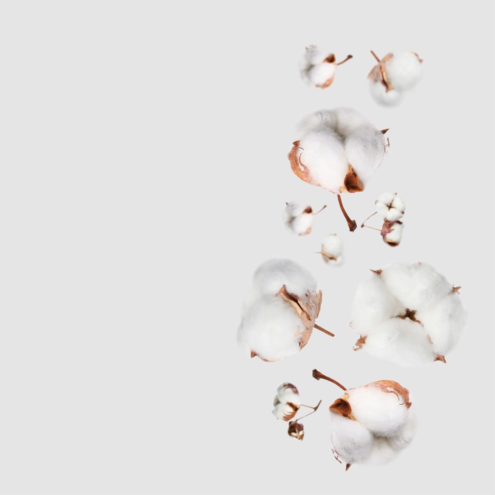 NO. 25 Clean Cotton Fragrance Oil for Cold Air Diffusers - Fresh Home & Office Aromatherapy Scent