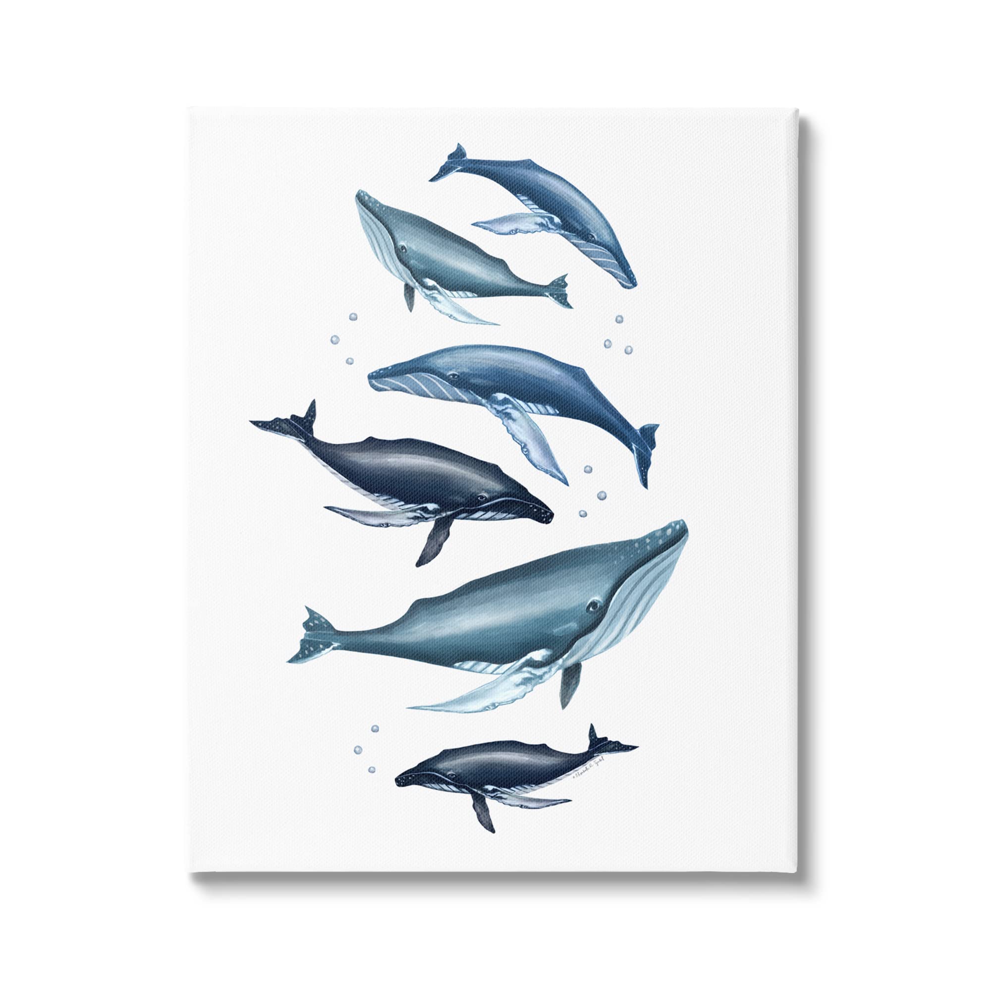 Stupell Industries Blue Whale Marine Life Wall Art - Elizabeth Tyndall Design with Bubbles & Fins - Perfect for Beach House Decor, Nursery, or Ocean-Themed Living Room