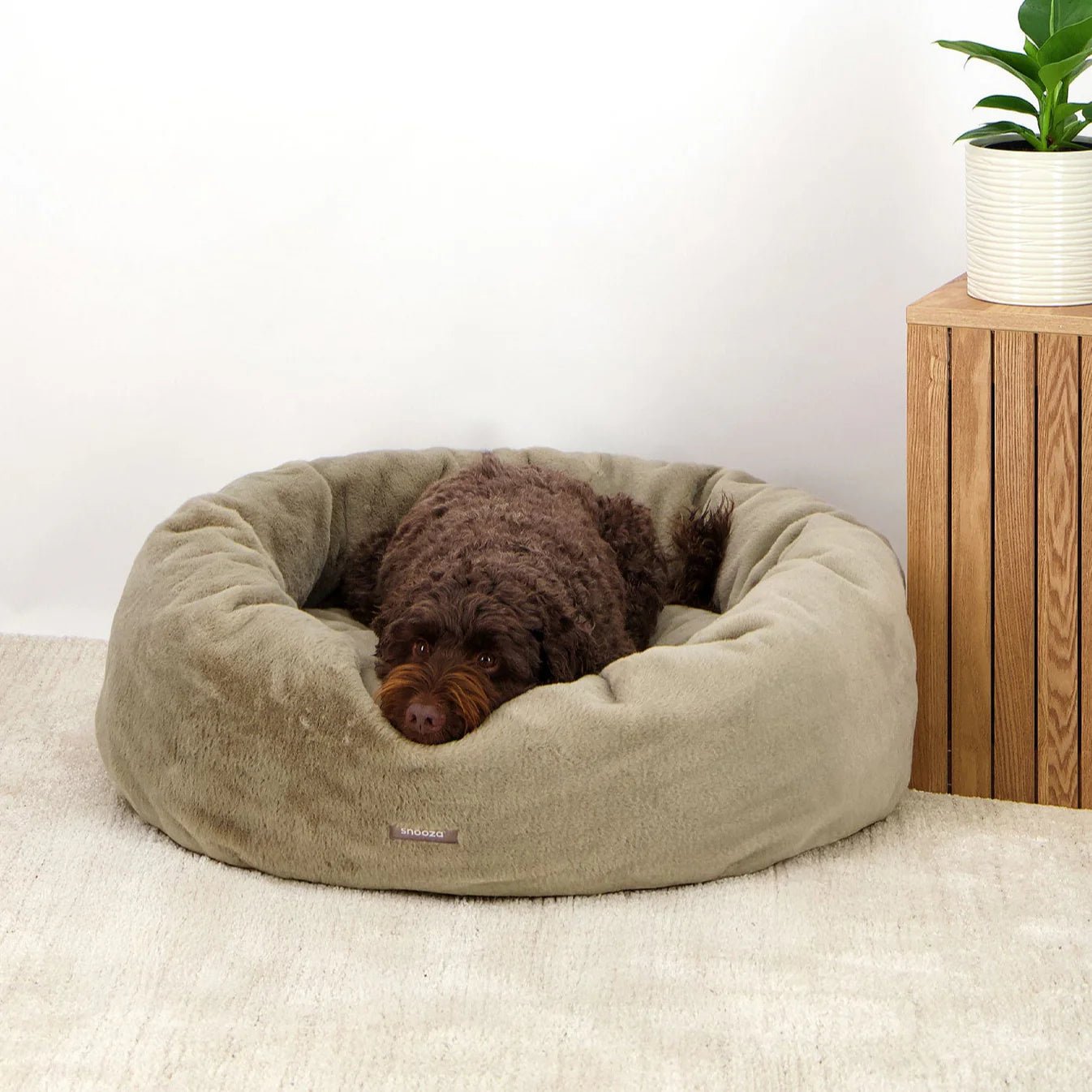 Premium Orthopedic Dog Bed for Large Dogs - Memory Foam Support, Waterproof & Washable Cover - Sage Green - Perfect for Pets with Joint Pain, Arthritis, or Senior Dogs - Ideal for Living Room, Bedroom, or Crate Use