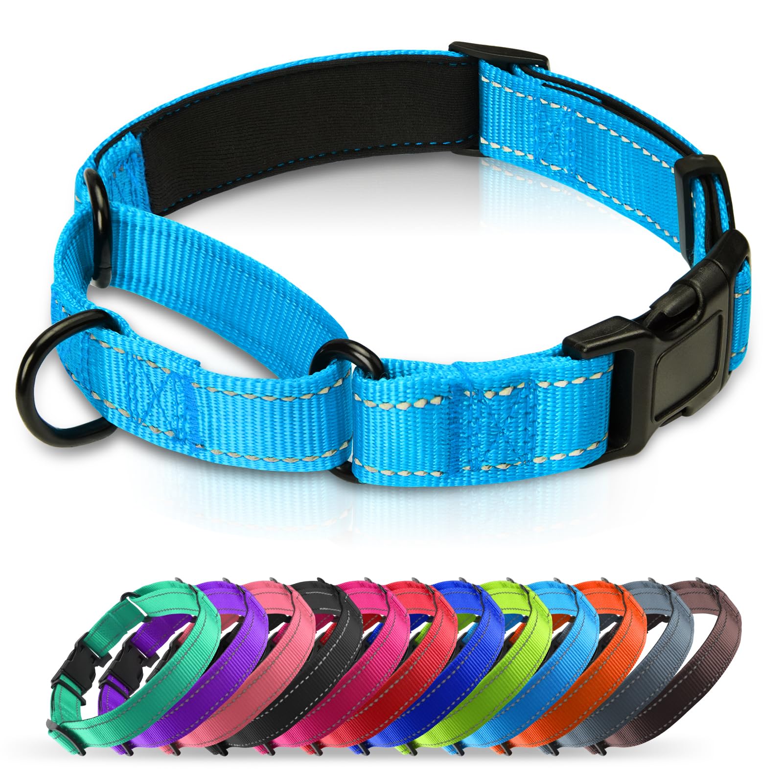 Premium Neoprene Padded Martingale Dog Collar with Reflective Nylon & Quick Release Buckle - Adjustable Training Collar for Medium Dogs (Aqua Blue) - Perfect for Daily Walks, Obedience Training & Nighttime Safety