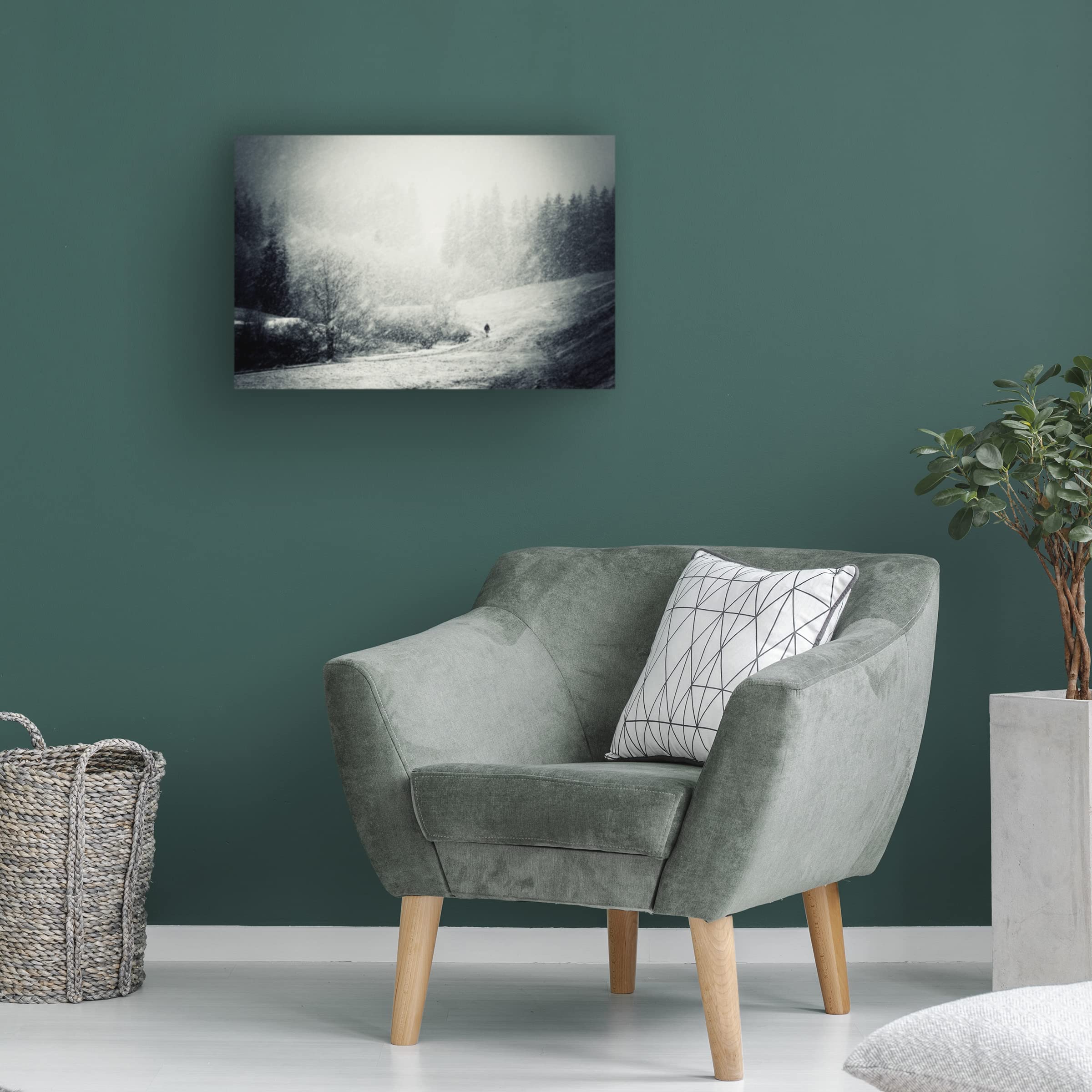 Trademark Fine Art 'Fog Snow Storm' Canvas Wall Art Print by Andre Gehrmann - Modern Landscape Painting for Living Room, Bedroom & Office Decor