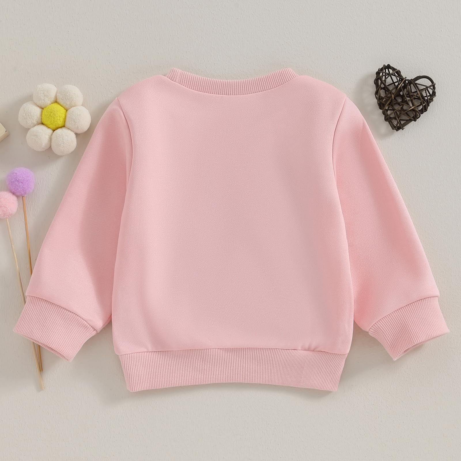 Big Sis Little Sis Matching Sweatshirts for Toddler & Baby - Fall Family Outfits