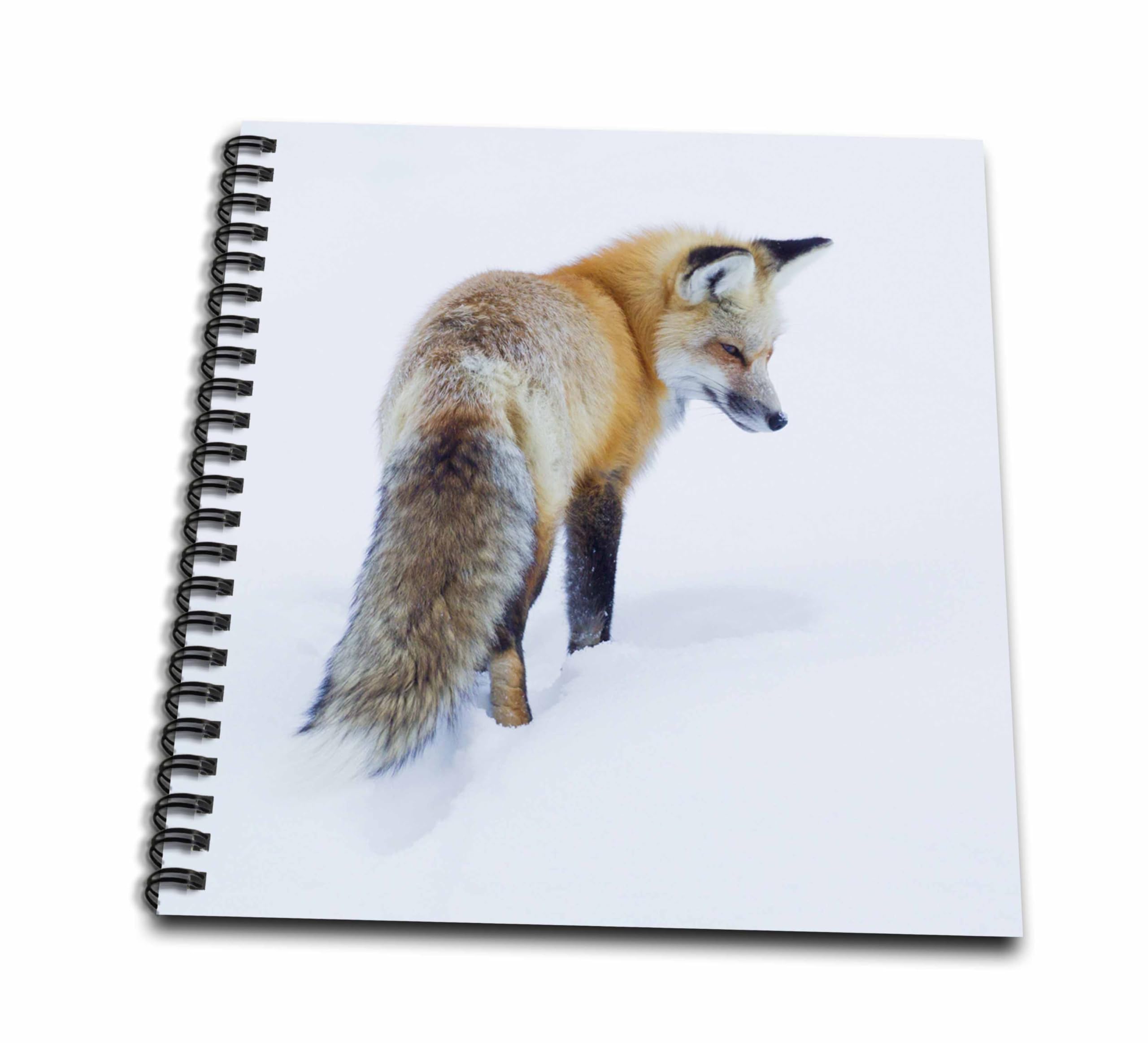 3D Rose Red Fox in Winter Drawing Book - Premium Sketchbook for Artists, Adults & Kids - Perfect for Sketching, Doodling & Coloring - Ideal Gift for Art Lovers & Beginners