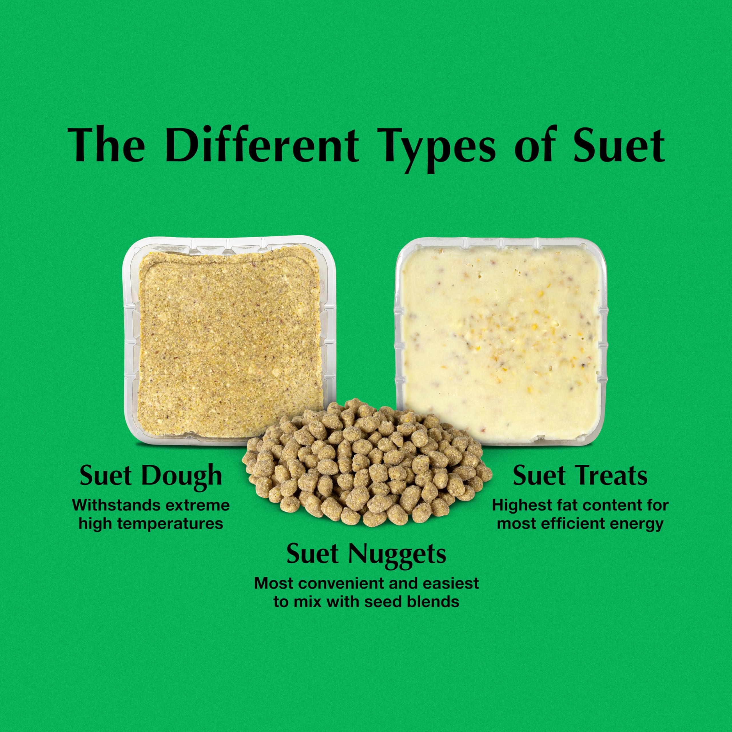 C&S Peanut Delight No Melt Suet Dough Log - 1 Pound Ready-to-Use Bird Food for Wild Birds, Woodpeckers & Cardinals - Perfect for Backyard Feeders & Winter Bird Feeding