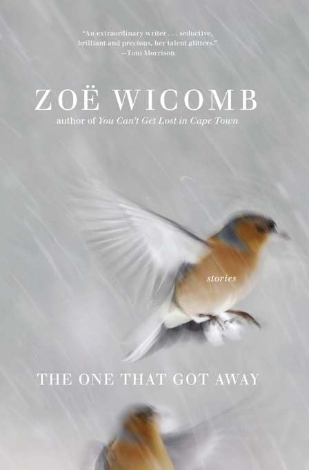 The One That Got Away: A Collection of Short Stories - Perfect for Relaxing Evenings, Book Clubs & Literary Enthusiasts
