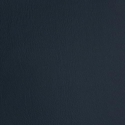 Regal Blue