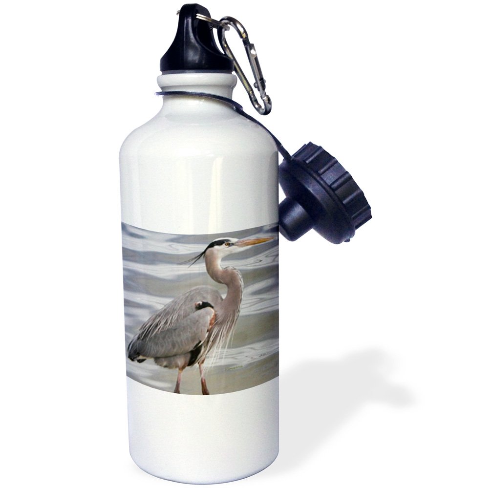 3Drose Great Blue Heron Sports Water Bottle - 21oz Insulated Stainless Steel White - Perfect for Gym, Hiking & Outdoor Activities