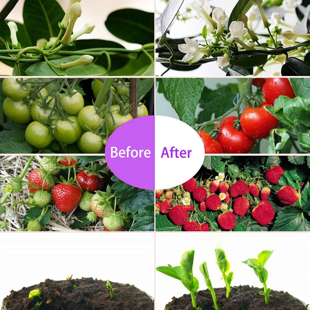 600W Full Spectrum LED Grow Light for Indoor Plants - Dual Chip 380-730nm Plant Growing Lamp with Hanging Kit - Ideal for Hydroponics, Greenhouse, Seedlings, Vegetables & Flower Growth