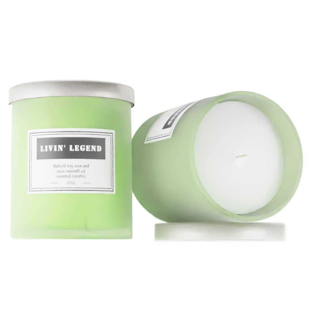 Premium Jasmine Scented Candles - 8.8oz Natural Soy Wax with Organic Jasmine Essential Oil for Aromatherapy | Long-Lasting & Highly Fragrant | Perfect for Meditation, Yoga, Spa, Romantic Dinners & Home Decor | Ideal Gift for Loved Ones, Holidays & Special Occasions