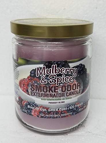 Premium Smoke Odor Eliminator Candles - 13oz Jar Set of 8 Scents (Sandalwood, Nag Champa, Pumpkin Spice, Mulberry, Vanilla, Apple, Cinnamon Apple, Fall Leaves) - Home Fragrance for Living Room, Bedroom & Office Air Freshener