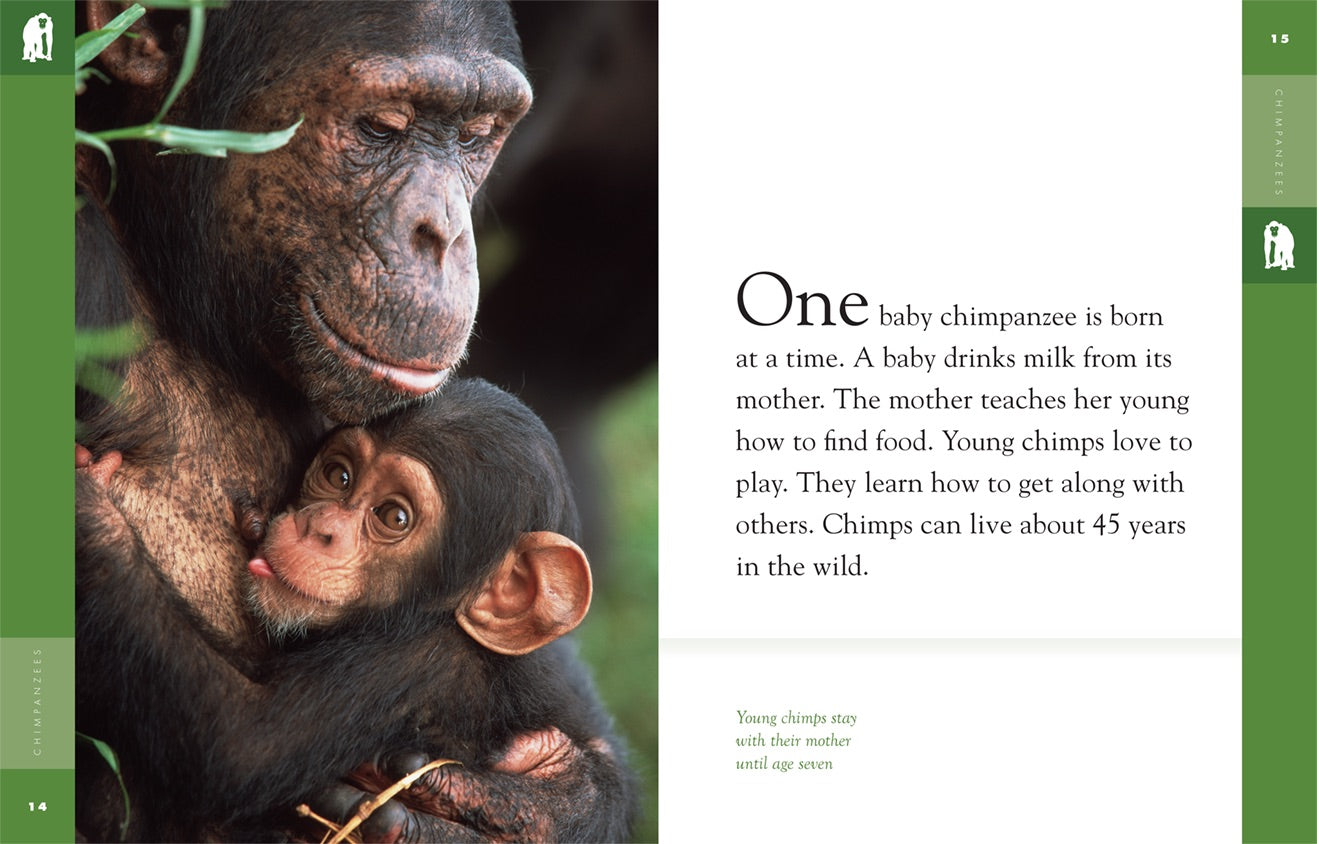 Amazing Animals (2014): Chimpanzees Documentary - Wildlife Film for Nature Lovers & Educational Use in Classrooms