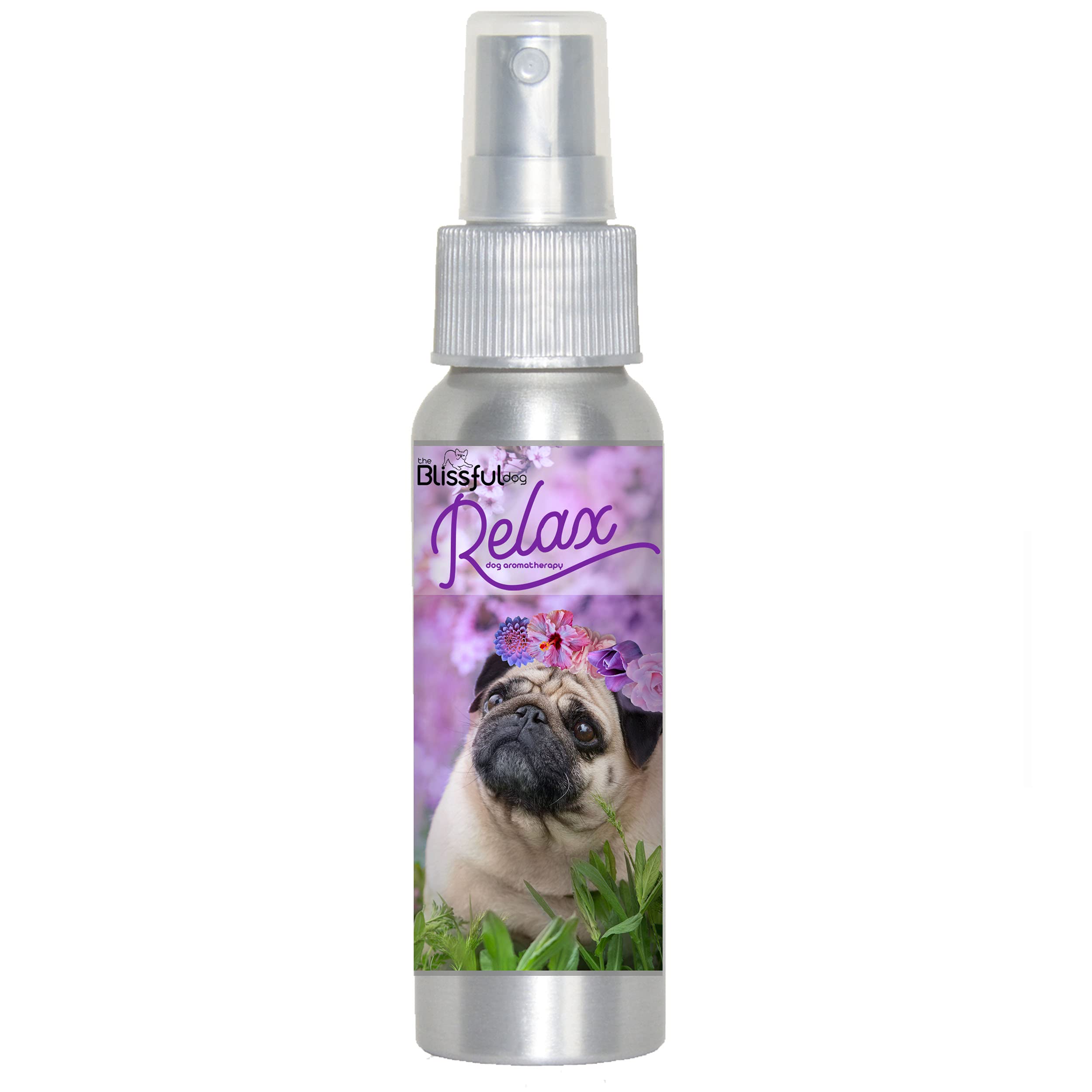 The Blissful Dog Pug Relax Dog Aromatherapy Spray - Calming Anxiety Relief for Dogs | Perfect for Travel, Vet Visits & Fireworks