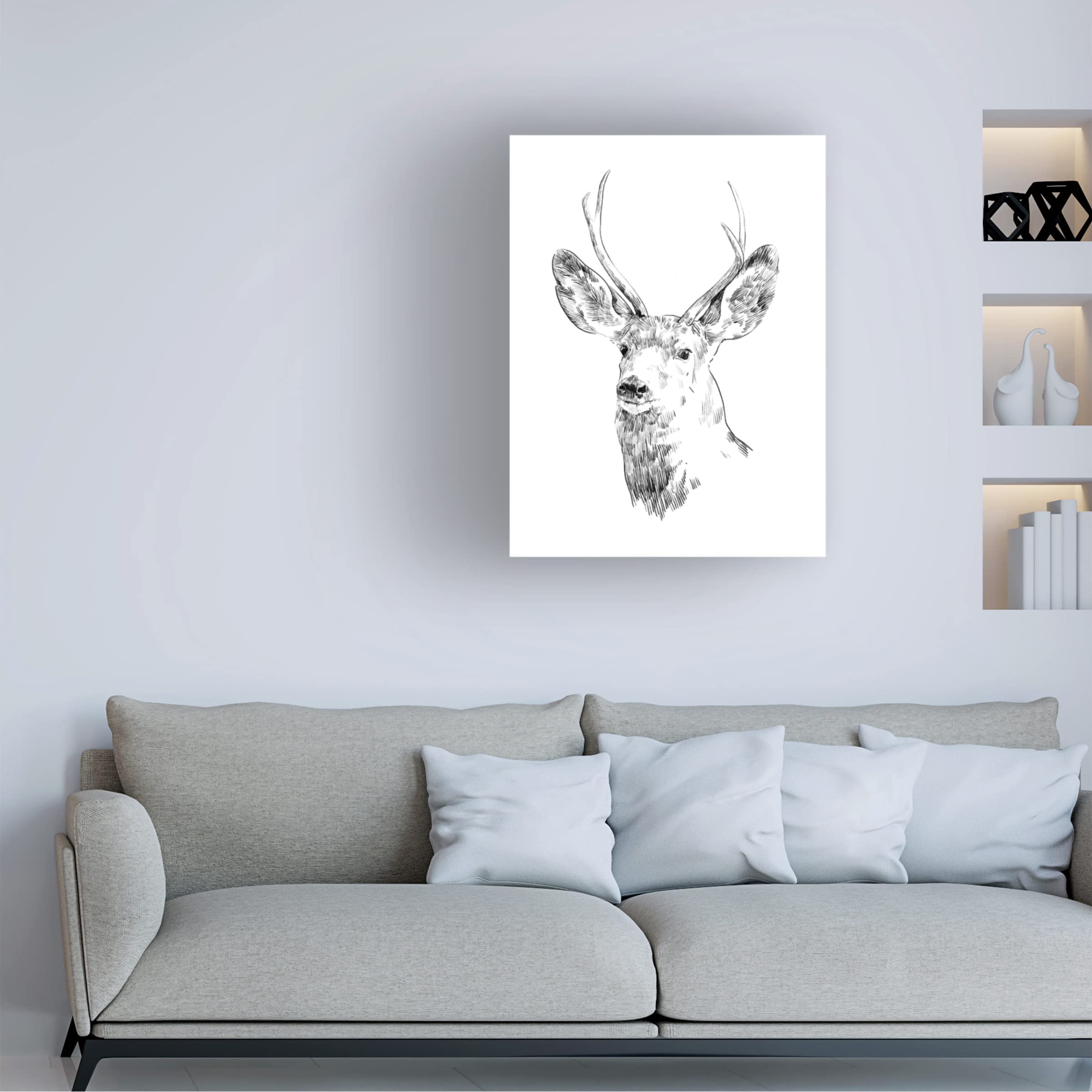 Emma Scarvey 'Young Buck Sketch IV' Canvas Wall Art Print - Modern Wildlife Decor for Living Room, Bedroom & Office