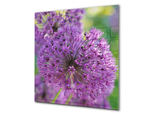 Flower of Garlic 1
