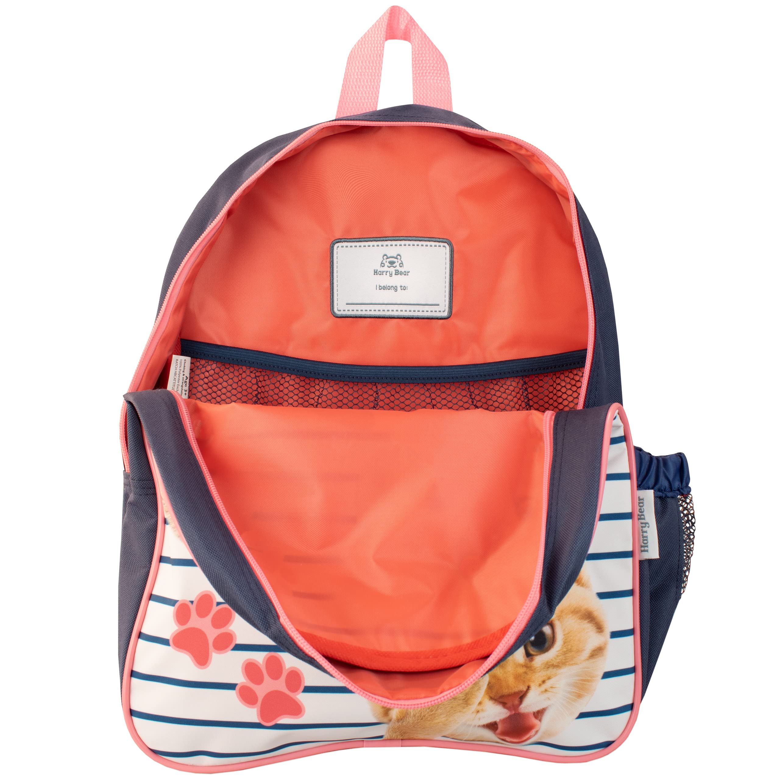 Cattitude Multicolored Kids Backpack for School, Travel & Daily Use - Durable & Stylish Children's Backpack for Boys & Girls