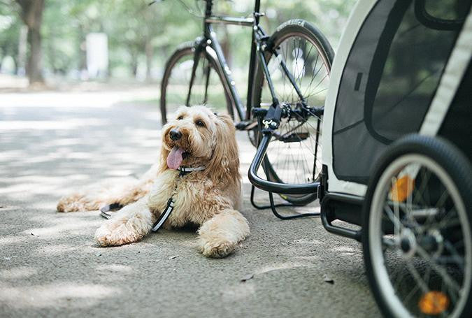 Nest Bike Towbar - Heavy Duty Bike Rack for Cars & SUVs - Secure Bicycle Carrier for Road Trips & Outdoor Adventures