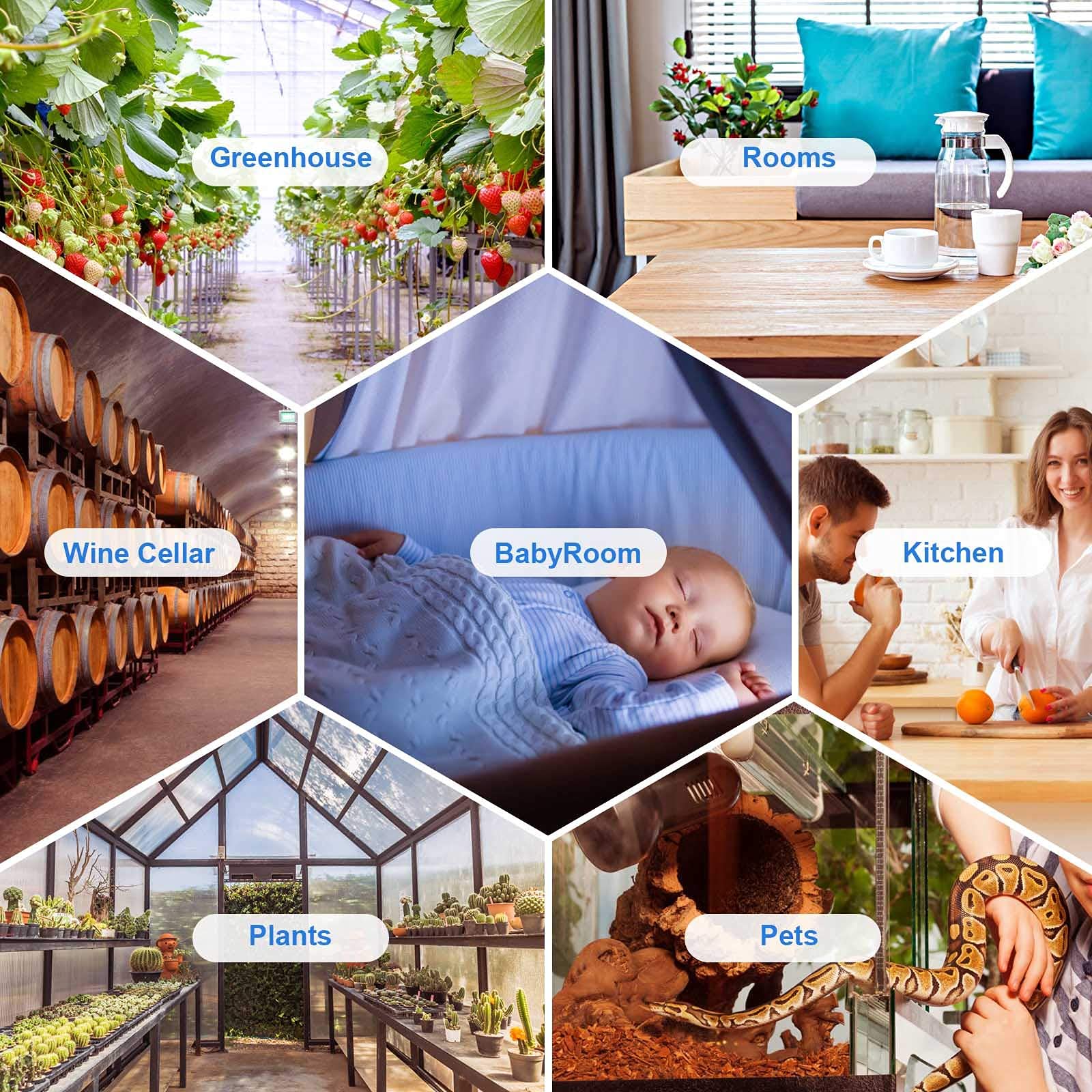 Inkbird IBS-P01R Wireless Pool Thermometer & IBS-TH2 Freezer Bluetooth Temperature Sensor - Smart Remote Monitoring for Swimming Pools, Refrigerators & Freezers - Perfect for Home, Restaurant and Commercial Use