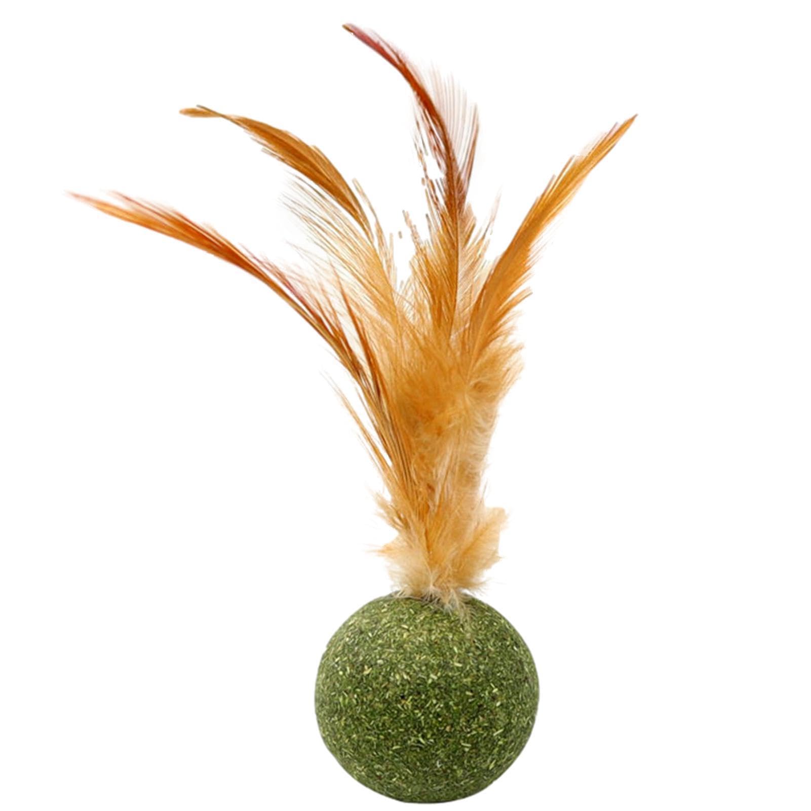 Magic Catnip Play Balls - Interactive Cat Toy with Feathers | Edible Kitten Chew Toy for Indoor Cats, Teeth Cleaning & Stress Relief - Perfect for Playtime, Training & Bonding with Your Feline Friend