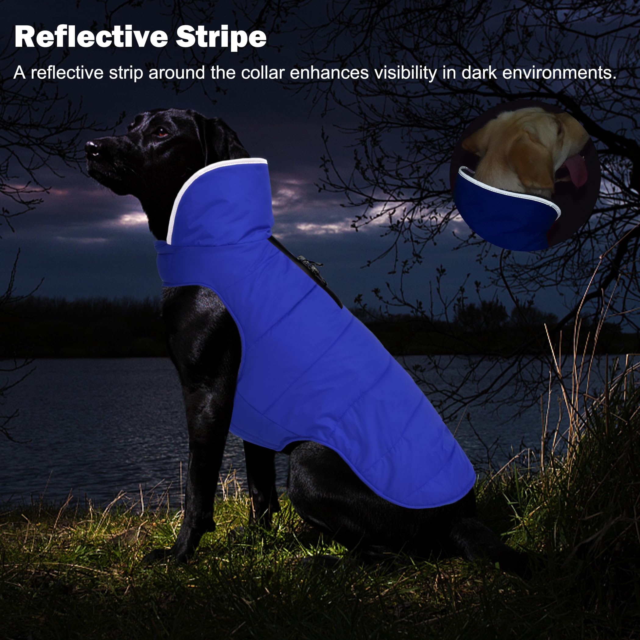 Waterproof Reflective Dog Winter Coat with Leash Hole - Windproof Fleece Snow Jacket for Small Medium Large Dogs - Blue XS - Perfect for Cold Weather Walks & Outdoor Adventures