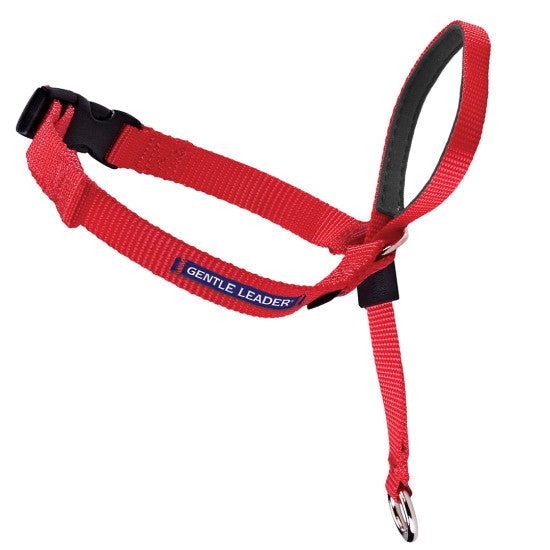 Gentle Leader Dog Head Collar - No-Pull Pet Training Harness for Medium & Large Dogs | Perfect for Walking, Training & Behavioral Control