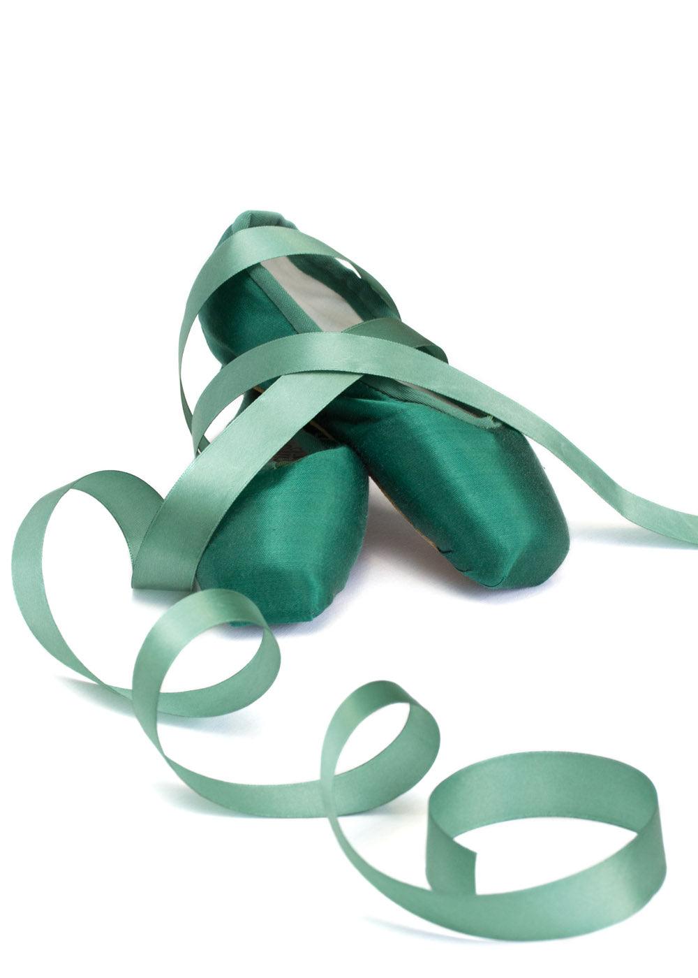 Professional Nikolay Pointe Shoe Color Change Service - Custom Ballet Shoe Dyeing for Dancers | Perfect for Performances, Recitals & Dance Competitions