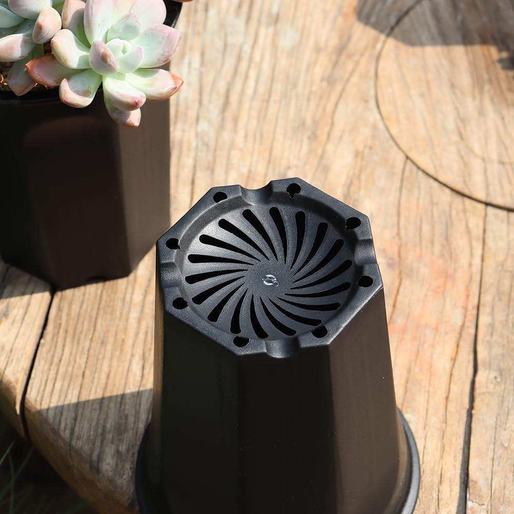 BangQiao 8 Pack 6.10 Inch Black Plastic Deep Nursery Pots - Round Seedling Planters for Transplanting, Cutting & Succulents | Ideal for Indoor Gardening, Greenhouses & Home Plant Propagation