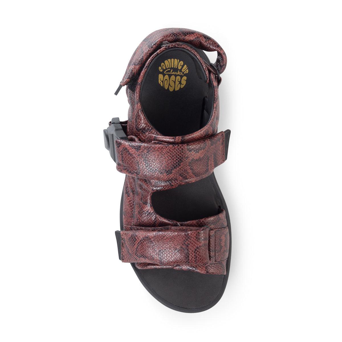 Martine Rose Brown Snake Sandals for Women - Stylish & Comfortable Summer Footwear for Casual Outings, Beach Trips, and Everyday Wear