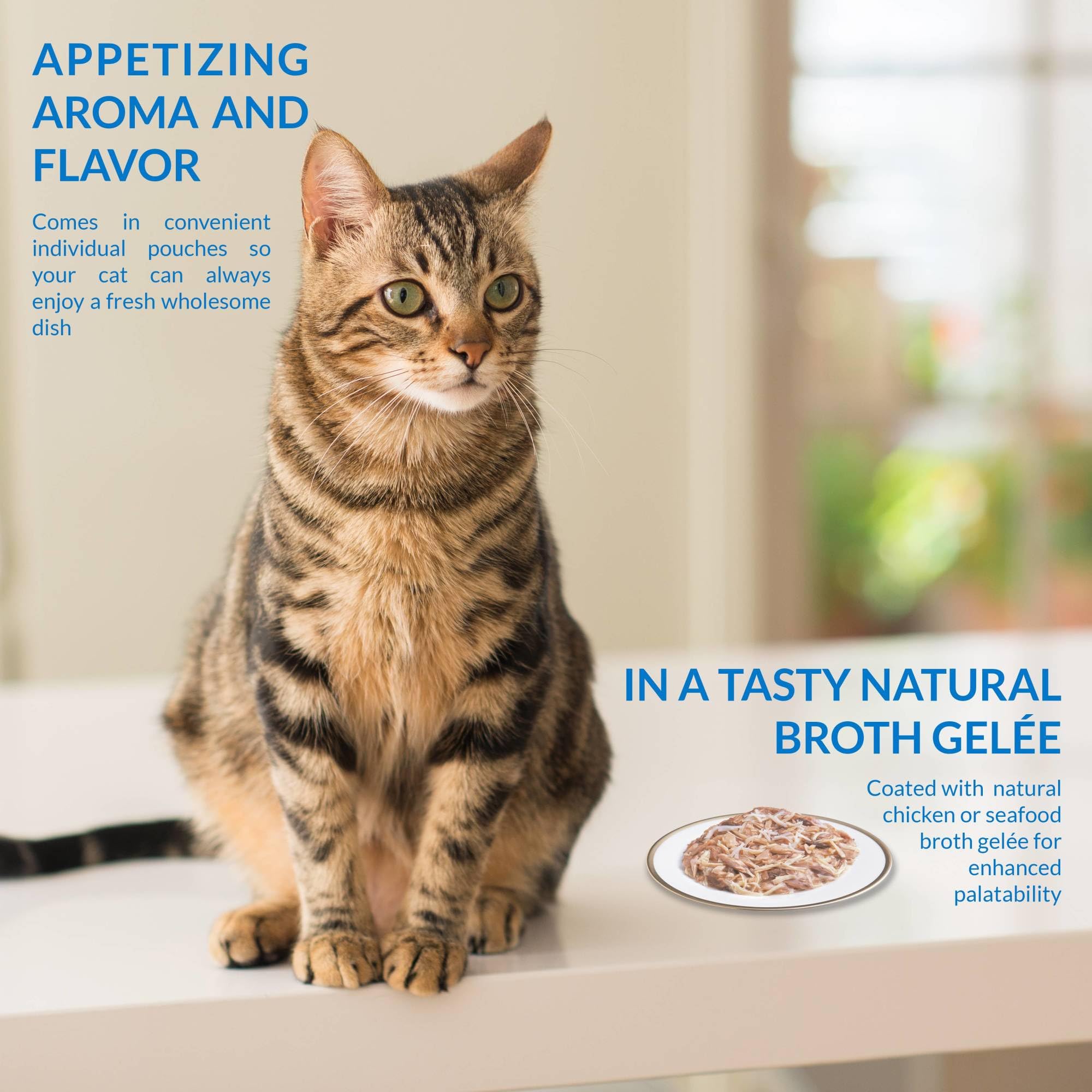 INABA Twin Packs for Cats - Shredded Chicken & Broth Gelée Cat Food Topper, 1.4oz per Serving, 12 Pouches (Chicken Recipe in Chicken Broth) - Perfect Wet Cat Food Supplement for Picky Eaters & Senior Cats