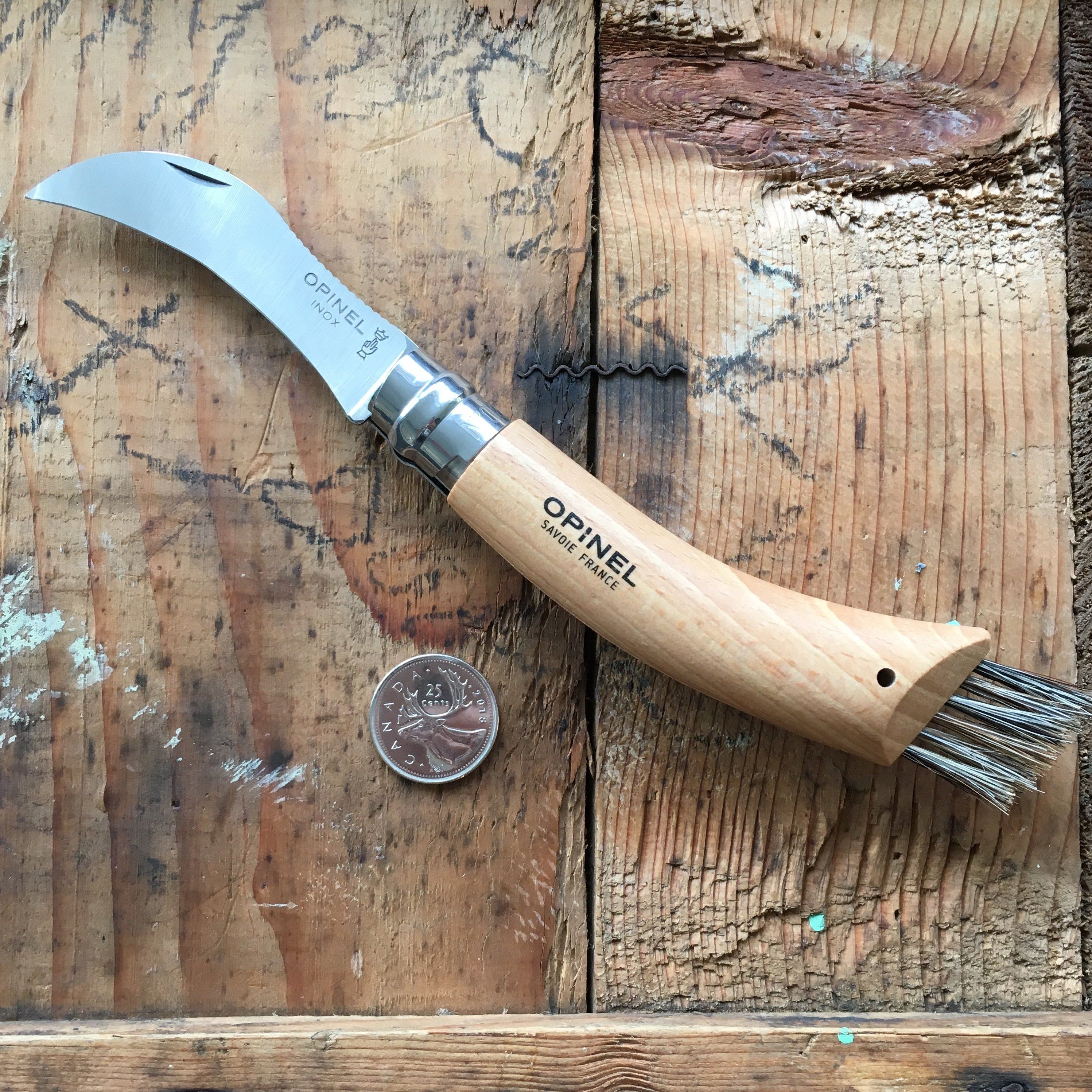 Opinel No.08 Stainless Steel Folding Knife - Mushroom Hunter's Pocket Knife with Cleaning Brush | Perfect for Foraging, Camping & Outdoor Adventures