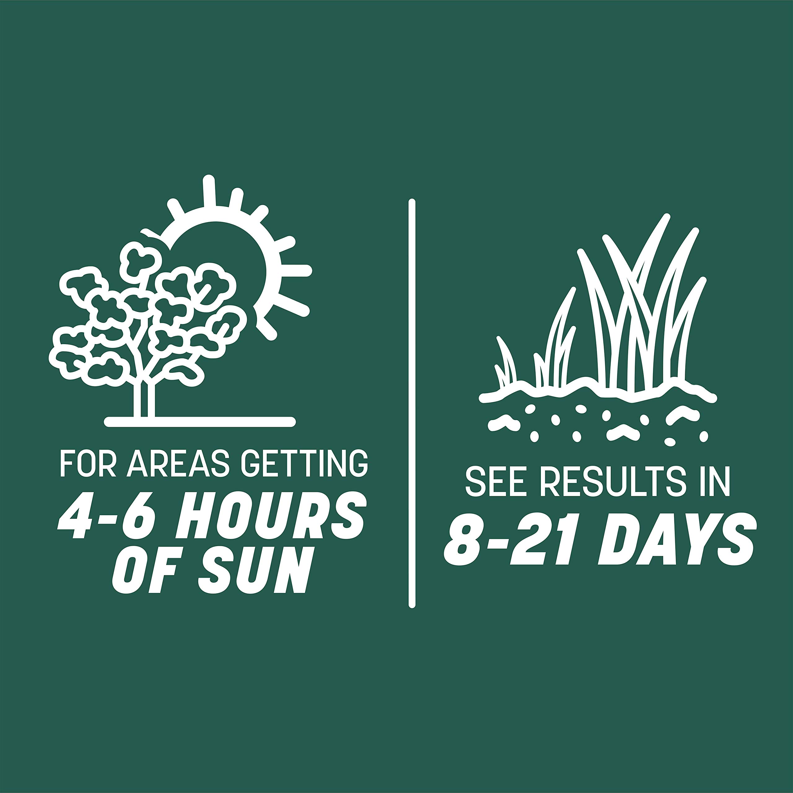 Pennington Smart Seed Sun and Shade Grass Mix 7 lb - Premium Grass Seed Blend for Year-Round Green Lawns - Ideal for Home Lawns, Landscaping & High-Traffic Areas