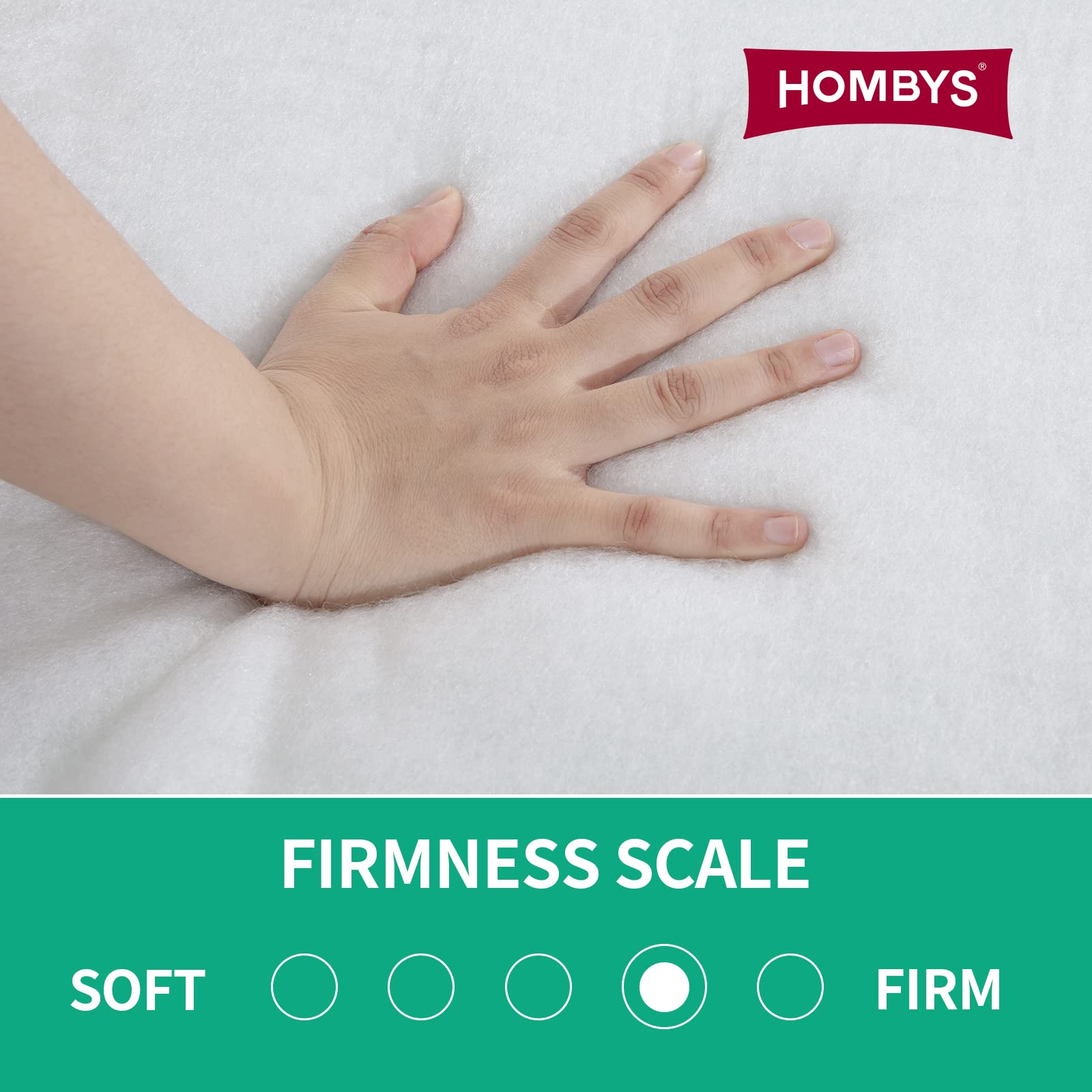 HOMBYS 6