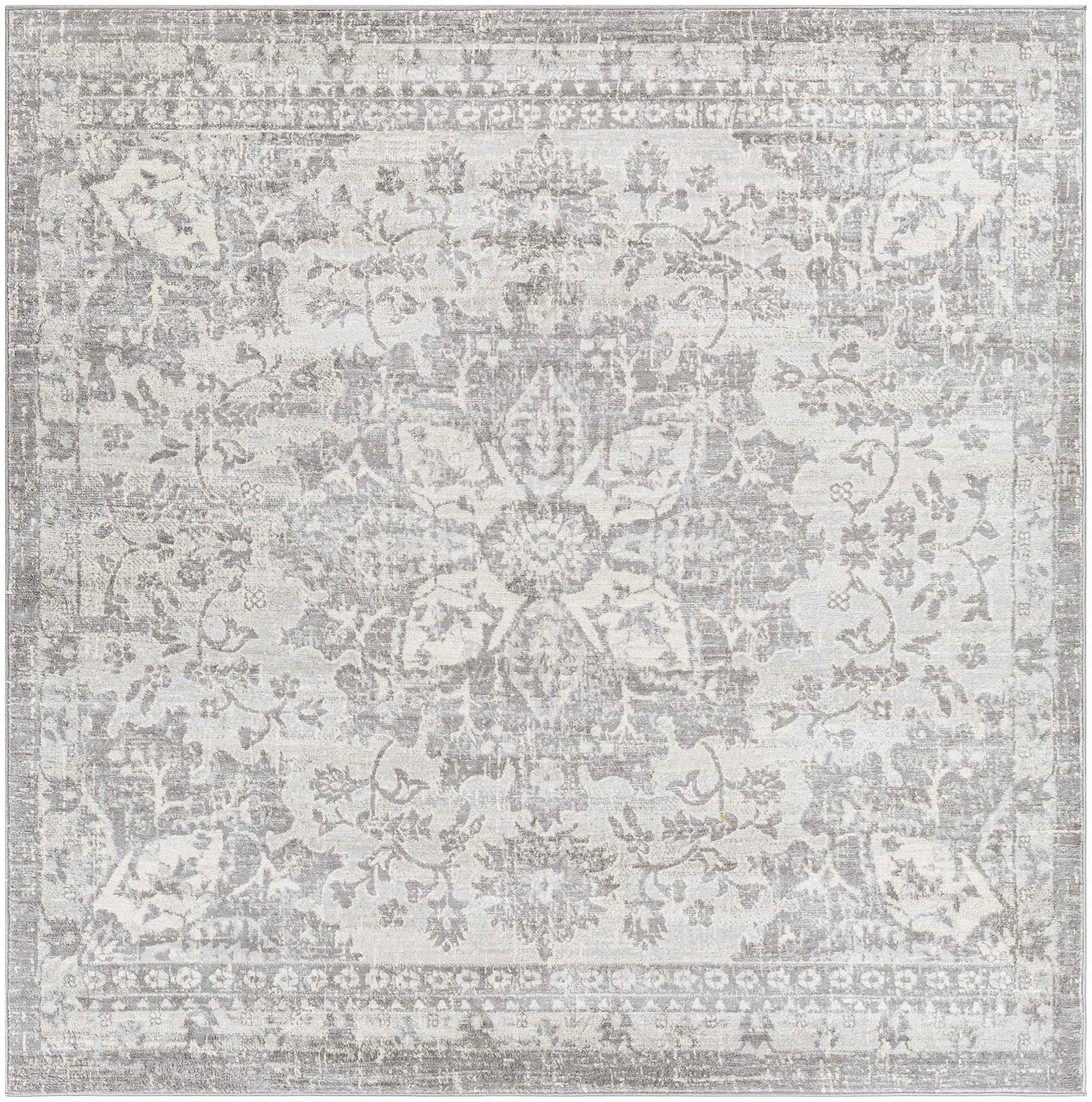 Modern Hauteloom Colonie Area Rug for Living Room & Bedroom - Traditional Silver Gray Ivory 6'7
