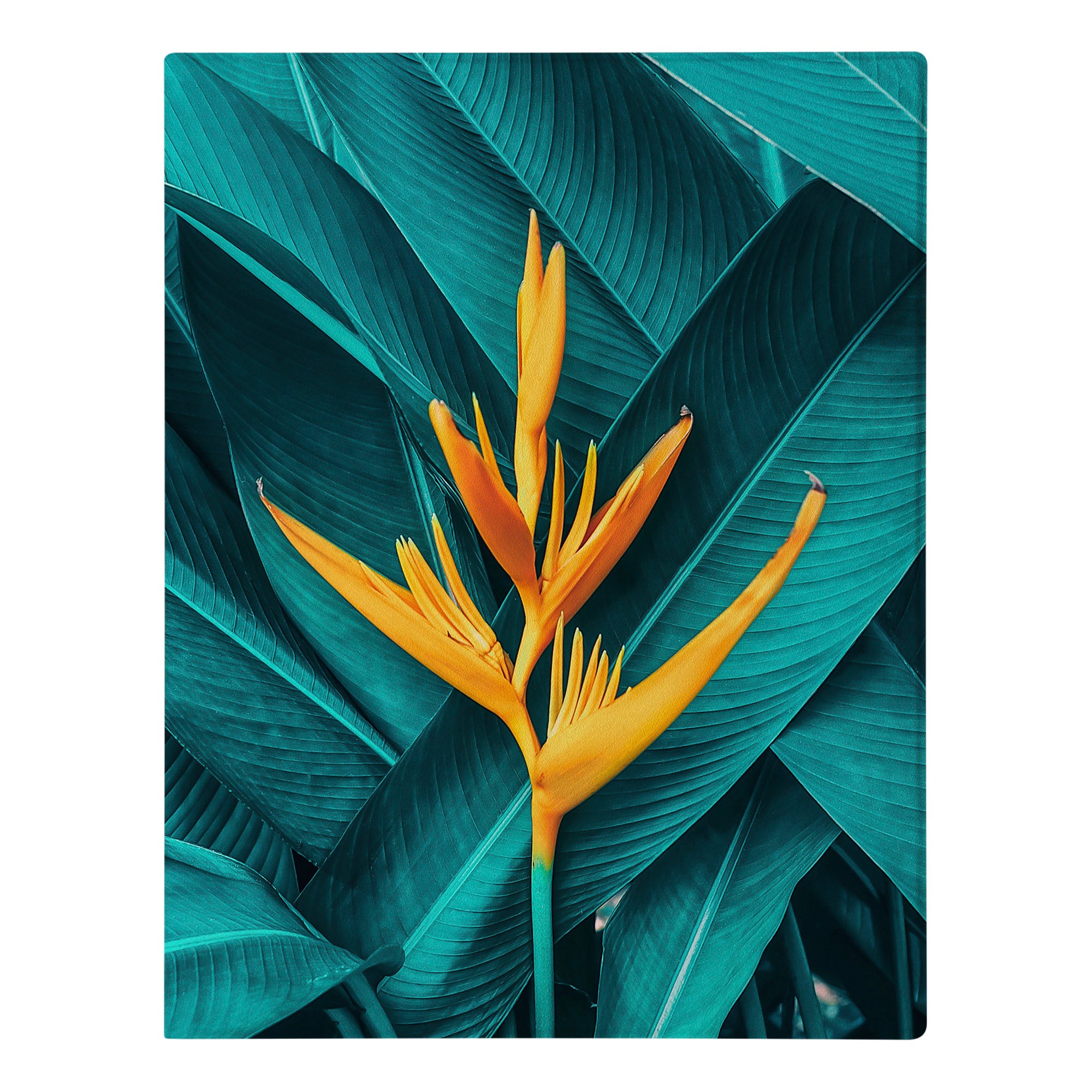 reMarkable 2 Tablet Case with Premium Stylus Pen - Floral Design for Writing, Note Taking & Digital Art | Perfect for Students, Professionals & Artists