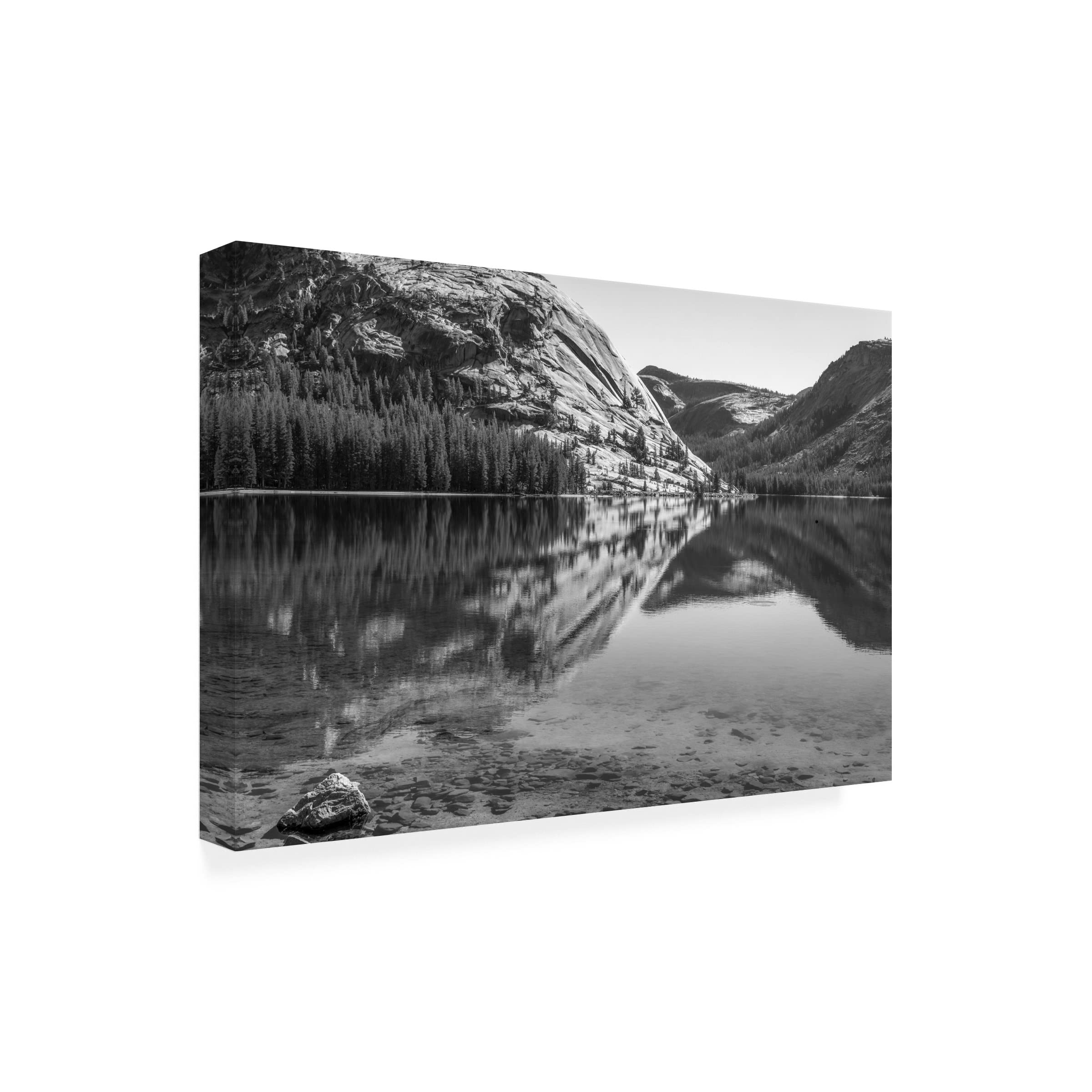 Joseph S Giacalone 'Tenaya Beauty Monochrome' 16x24 Canvas Wall Art Print - Modern Black & White Landscape Painting for Living Room, Bedroom & Office Decor