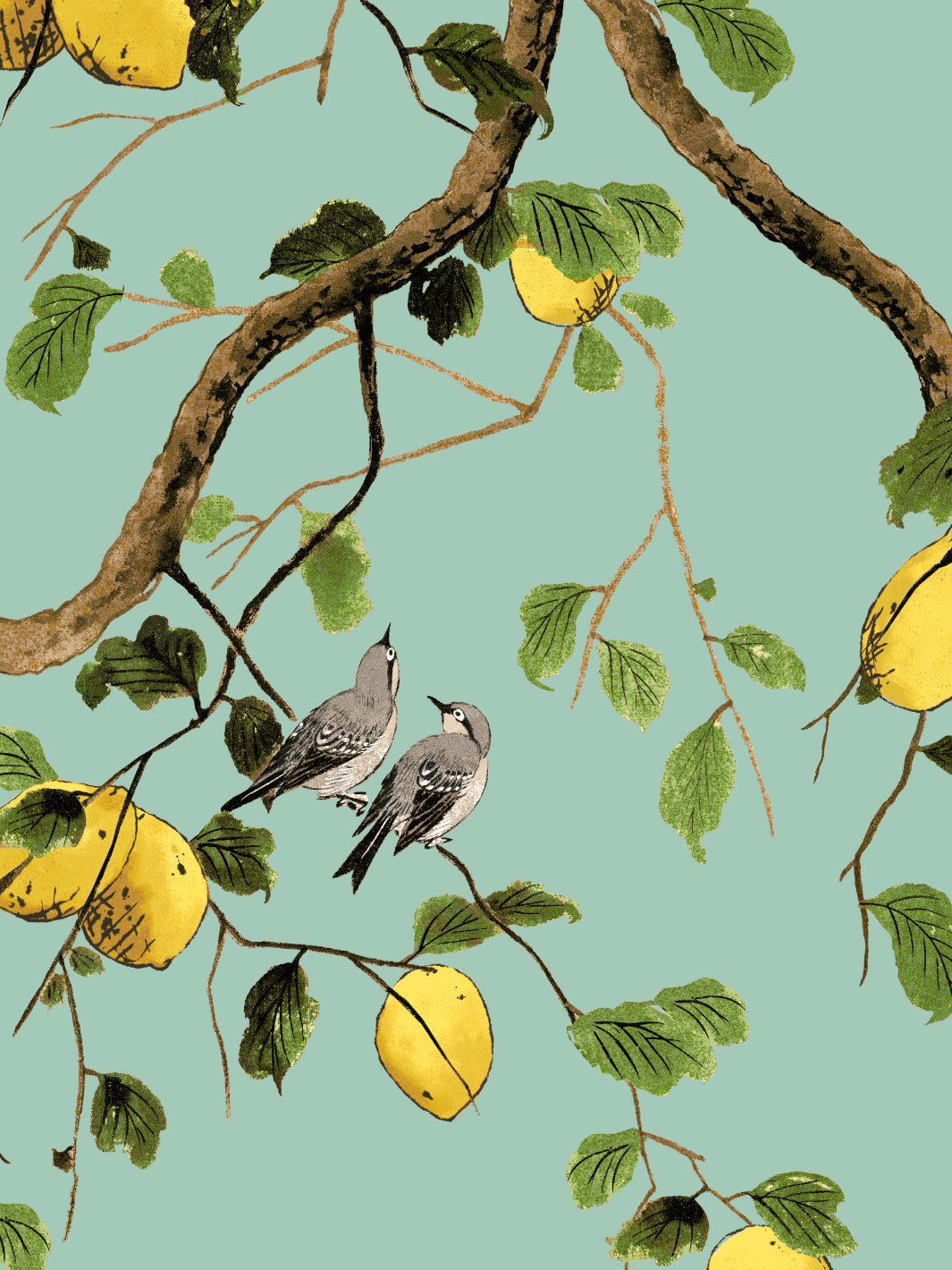 Nathan Turner Lemon Birds Wallpaper - Jade Green Peel & Stick Wallpaper for Bedroom, Nursery, and Home Decor