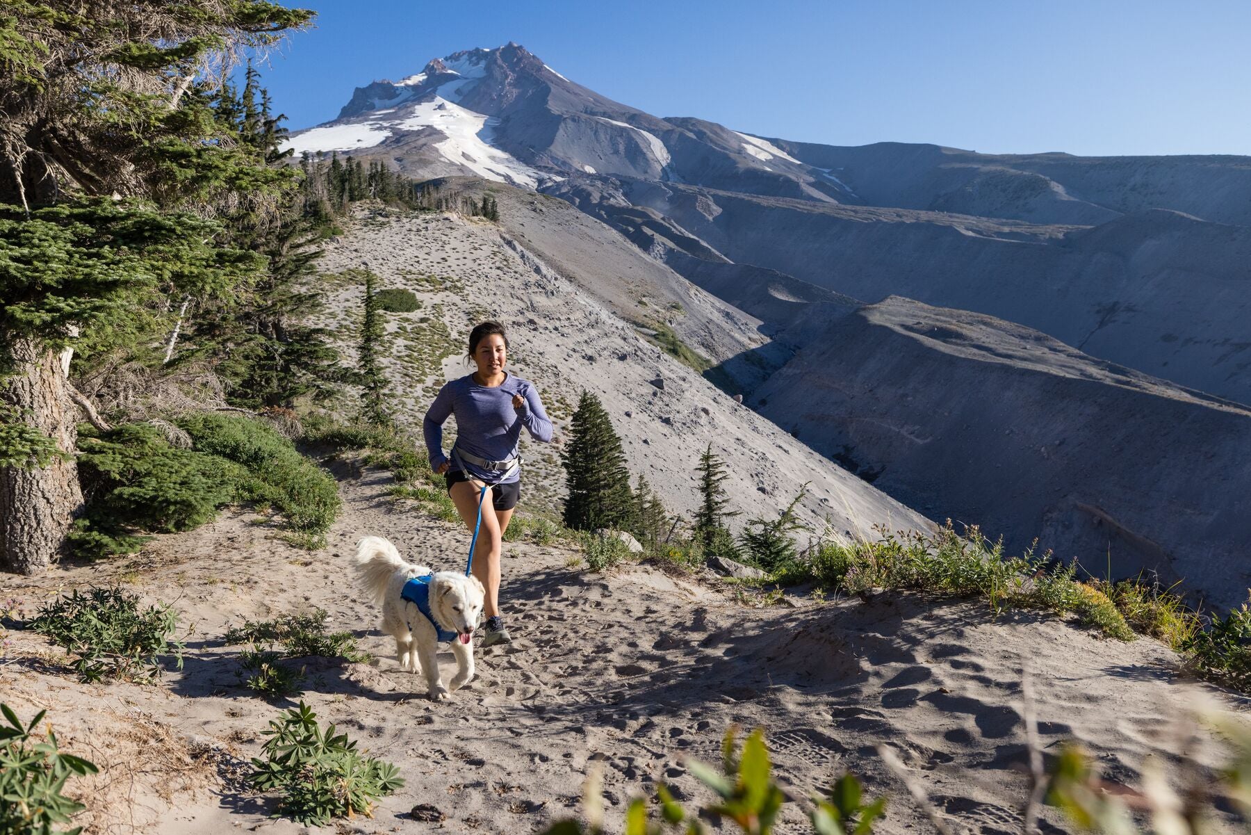 Ruffwear Dog Running Vest - Trail Runner Reflective Dog Vest for Hiking & Outdoor Adventures, Blue Pool - Perfect for Active Dogs & Pet Owners