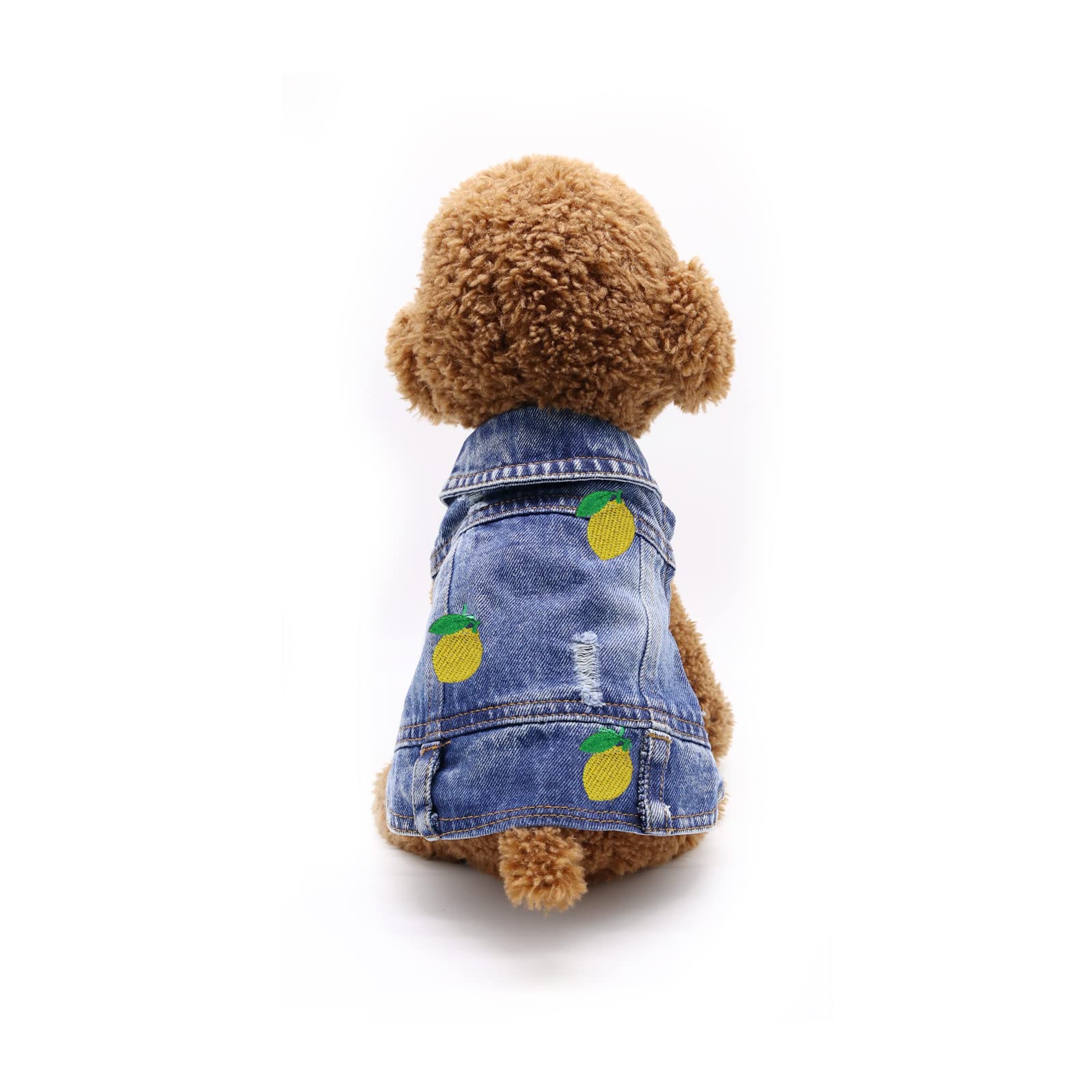 QTBOOM Pet Dog Clothes - Adorable Lemon Embroidery Dog Coat, Machine Washable Puppy Shirt, Cool Blue Denim Jacket for Small & Medium Dogs | Perfect for Outdoor Walks, Pet Photos & Seasonal Fashion