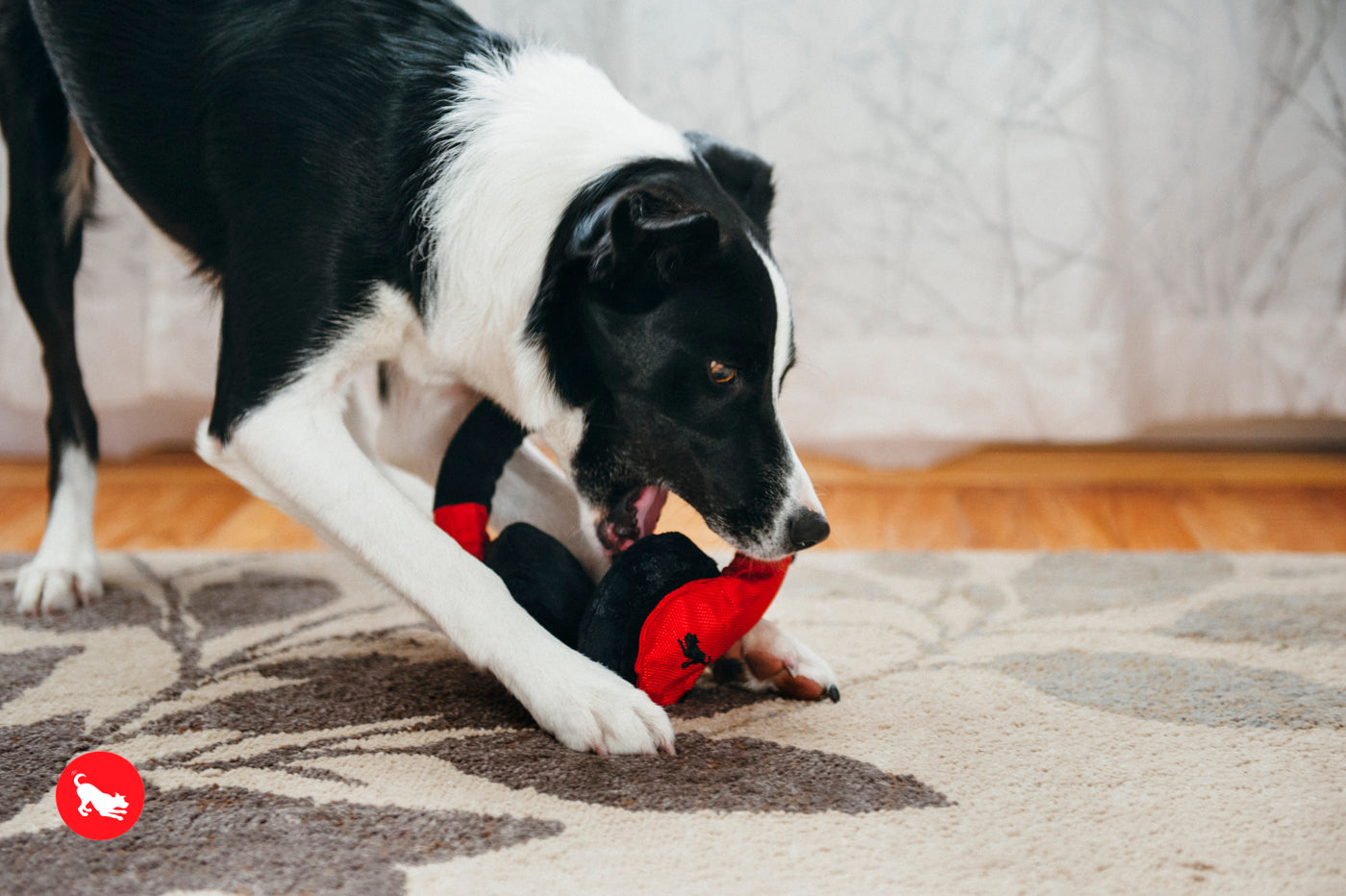 Globetrotter Plush Dog Toy with Squeaker - Soft & Durable Chew Toy for Small & Large Dogs | Perfect for Playtime, Training & Travel | Pet P.L.A.Y.