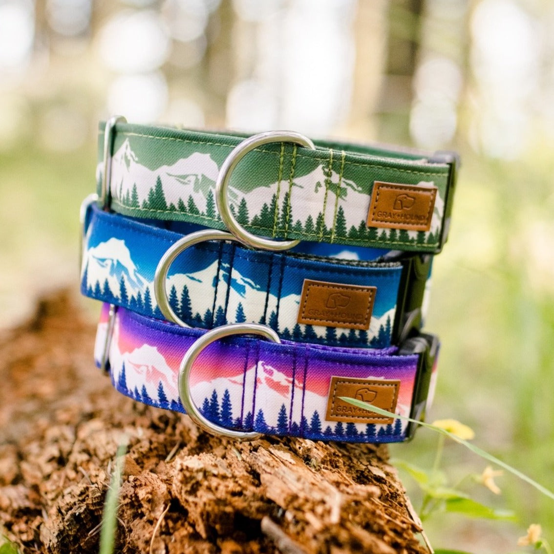 Premium Juniper Mountain Dog Collar - Durable & Adjustable Nylon Pet Collar for Hiking & Outdoor Adventures - Perfect for Medium & Large Dogs