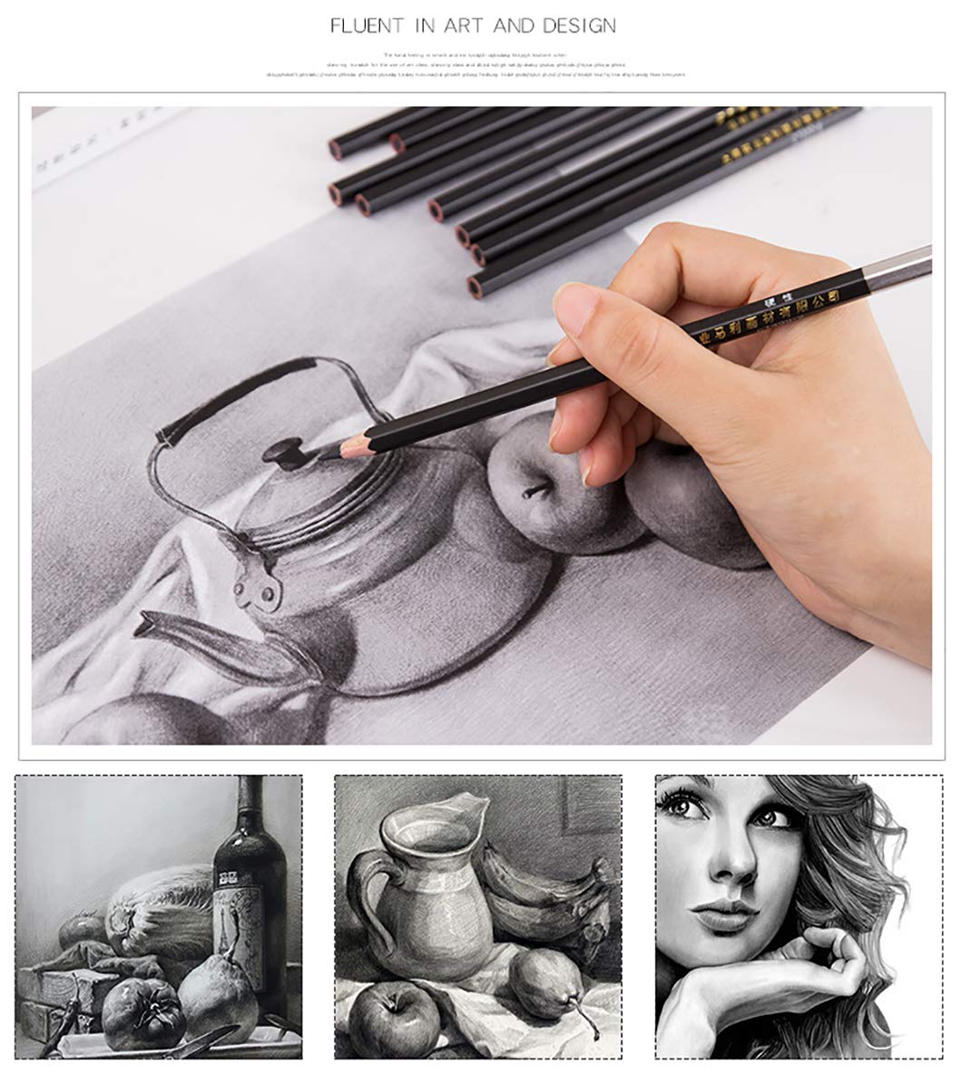 YYMIYU 12-Piece Super Soft Carbon Painting Pencils for Charcoal Drawing & Sketching - Professional Art Supplies for Beginners & Artists - Perfect for Portraits, Landscapes & Still Life Drawings