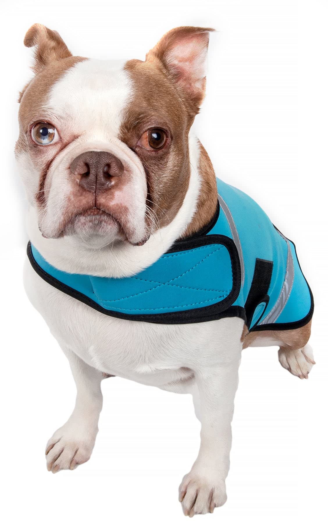 Extreme Softshell Neoprene Dog Coat with Reflective Taping - Waterproof Dog Jacket & Rash Guard for Small, Medium & Large Breeds - Perfect for Winter Walks, Outdoor Adventures & Water Activities