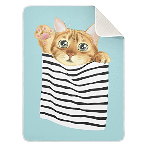 04-cat